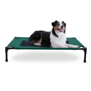 Pets Pioneer Cama Elevada para Perros.