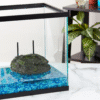 Aqua Culture – Plataforma flotante para tomar el sol y baño para reptiles y anfibios