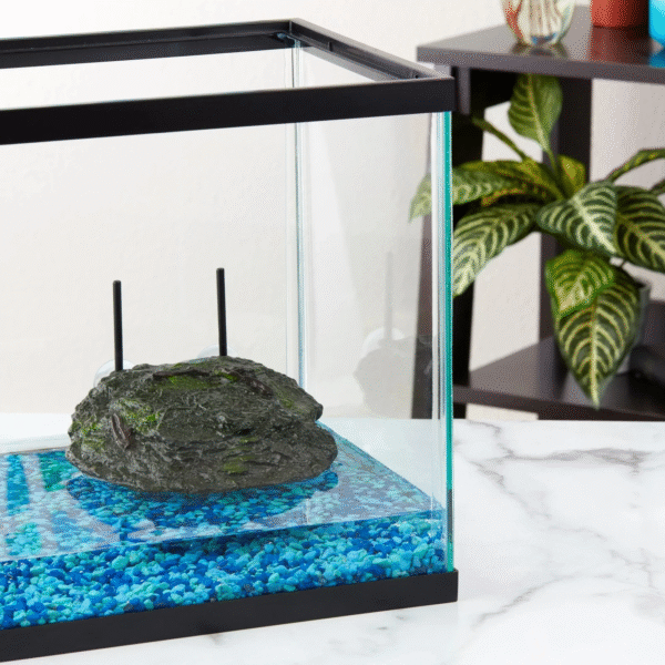 Aqua Culture – Plataforma flotante para tomar el sol y baño para reptiles y anfibios
