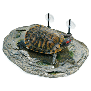 Aqua Culture – Plataforma flotante para tomar el sol y baño para reptiles y anfibios