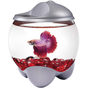 Tetra Kit de Acuario Betta Bubble con luz LED 0,7 gal