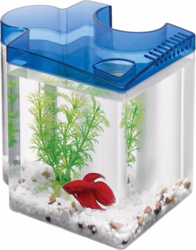 Acuario Aqueon para Peleador con Forma de Puzzle Azul