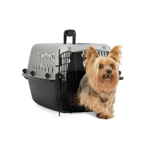 EveryYay Kennel Portátil de Plástico XXS – 19" x 13" x 11", Gris
