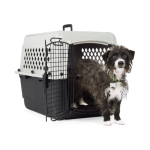 EveryYay Kennel Portátil S – Transportadora de Plástico 28" x 21" x 21", Gris