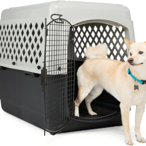 EveryYay Kennel Portátil M – Transportadora de Plástico 36" x 25" x 27", Gris