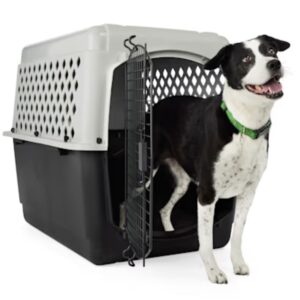 EveryYay Kennel Portátil L – Transportadora de Plástico 40" x 27" x 30", Gris