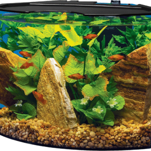 Tetra Crescent Kit de acuario de media luna de 5 galones